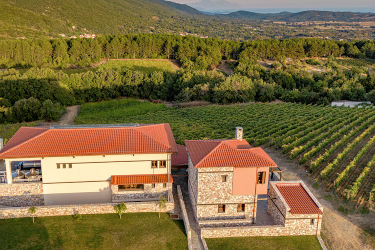 Thessaloniki: Halkidiki Wine Tour with Aristotle's Park