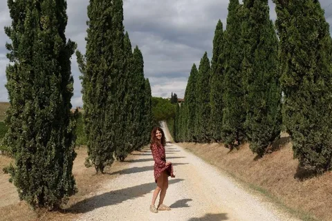 Da Siena: tour del Chianti e dei castelli