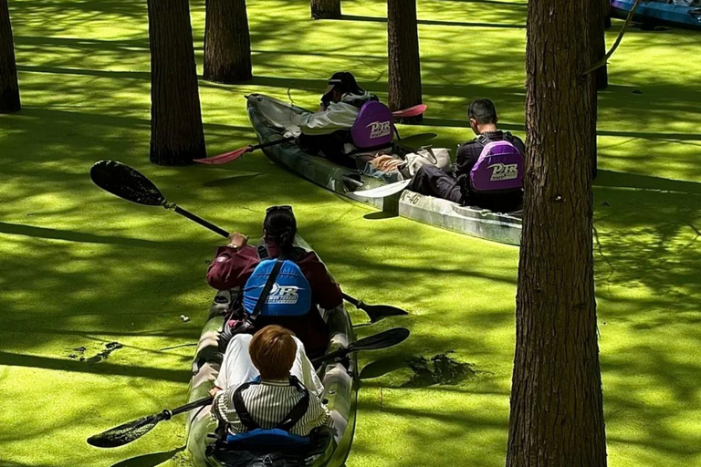 Hangzhou Qingshan Lake Water‑Forest Private Day Tour Ticket + Deer‑Feeding | Separate Driver & Guide