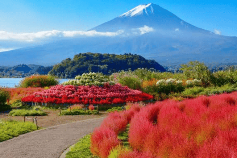 Depuis Tokyo : Visite privée du Mont Fuji avec chauffeur anglaisToyota Vellfire