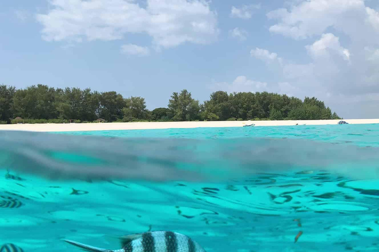 Sansibar: Mnemba Island Dolphin and Snorkeling Tour