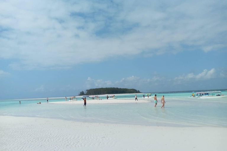 Excursão de meio dia aos golfinhos e mergulho com snorkel em Mnemba (viagem compartilhada)