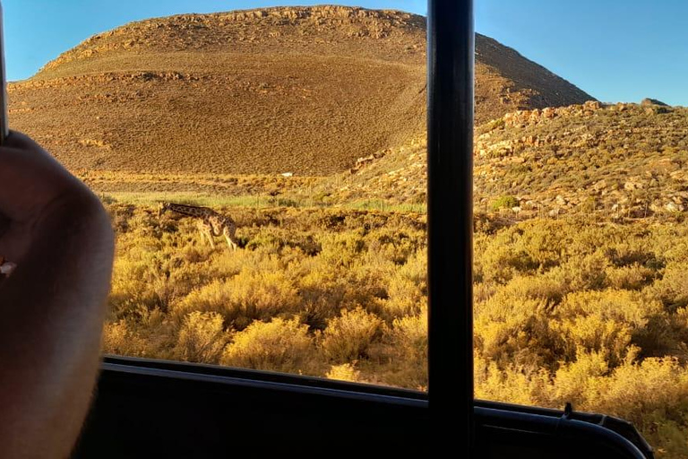 Cape Town Aquilla big sunset safari With transport & food aquila sunset bestseller