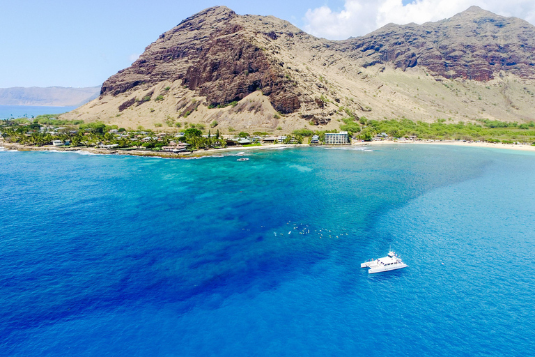 Luxury Sunset Cruise, Snorkeling, Dolphin Watch, & Buffet Oahu: Private Sunset Snorkel & Dolphin Watch with Dinner
