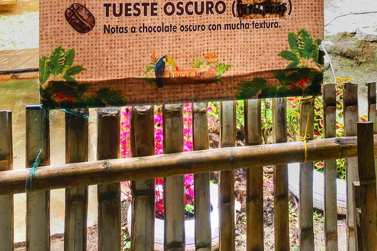 From Santa Marta: Minca and Coffee and Cacao Tour with Lunch Minca Magic and exotic Coffee and Cacao Tour