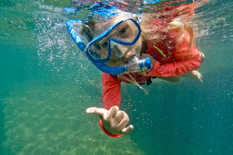 West Palm Beach: Beginner Snorkeling with Turtles &amp; Videos