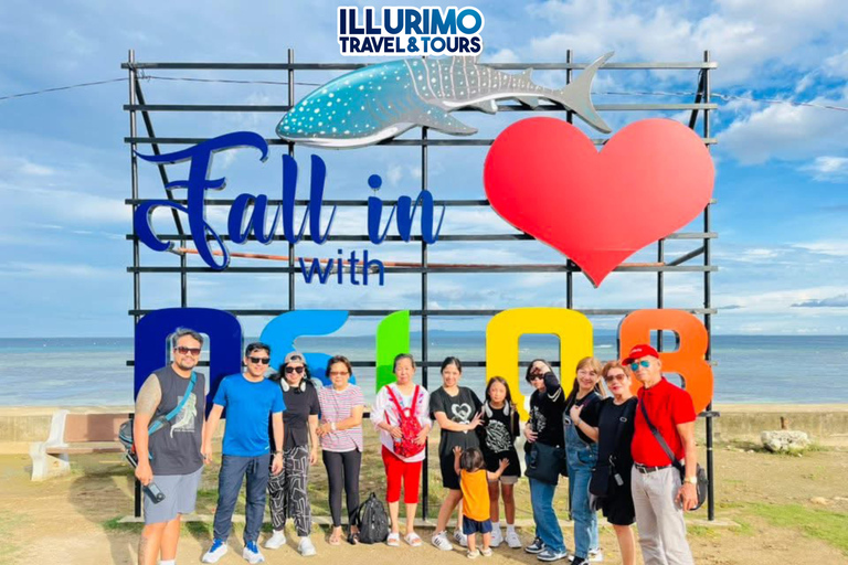 Oslob: Whale Shark Snorkeling Experience