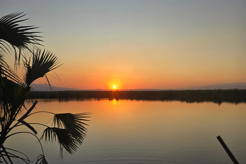 3-Day Awash National Park Safari with Lodge