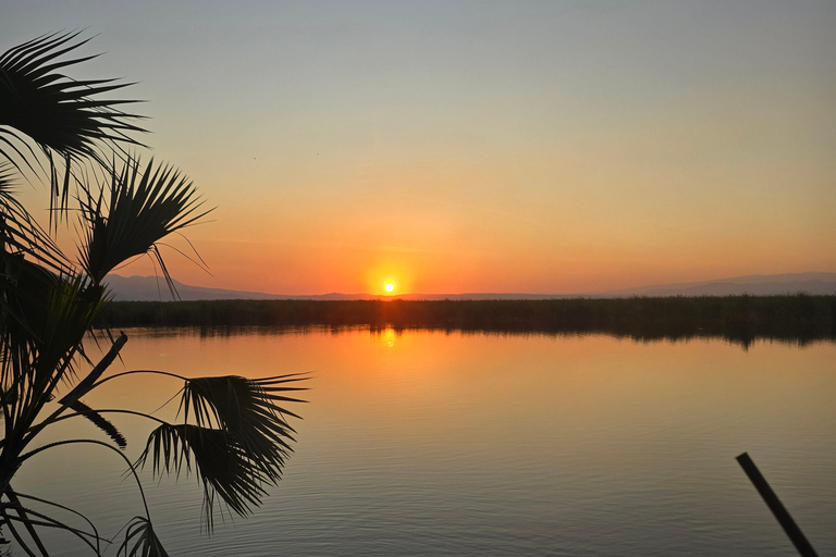 3-Day Awash National Park Safari with Lodge