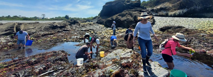 Camaret-sur-Mer: Atelier Cueillette et Cuisine d’Algues