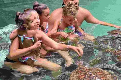 Mnemba Dolphin tour and sea turtles sanctuary with fruits Guided tour in without transfer