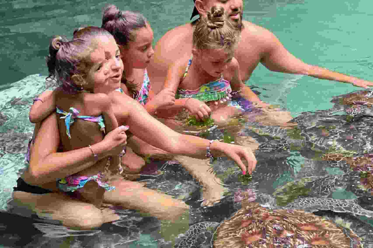 Mnemba Dolphin tour and sea turtles sanctuary with fruits Guided tour in without transfer