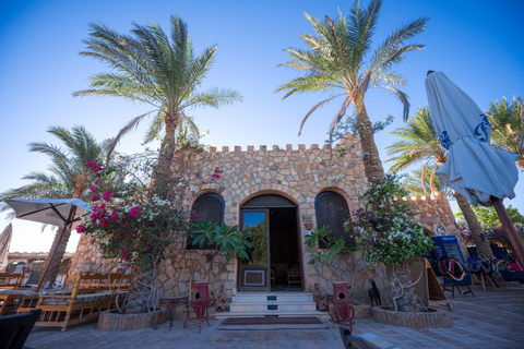Hurghada: Quad, Horse & Camel Ride with BBQ & Stargazing