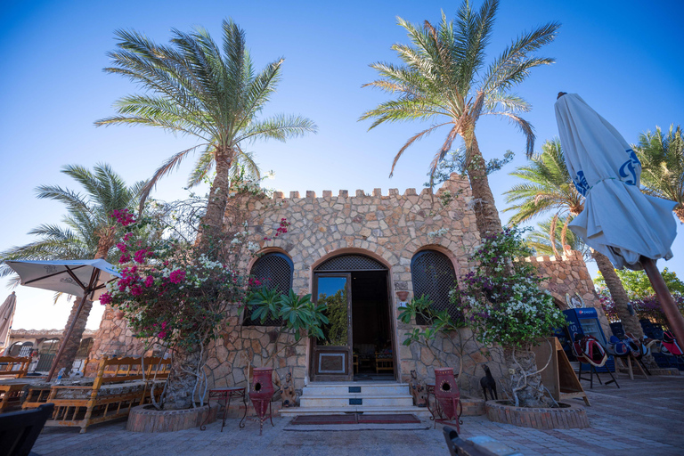 Hurghada: Quad, Horse & Camel Ride with BBQ & Stargazing
