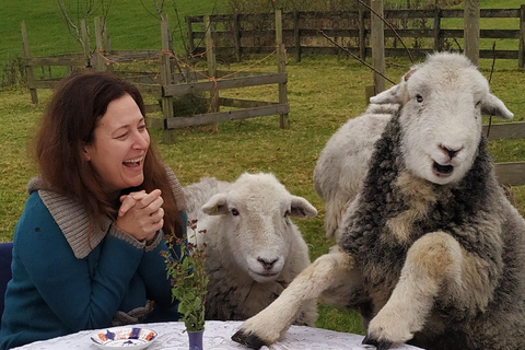 Scotland: Tea Retreat with Naughty Sheep