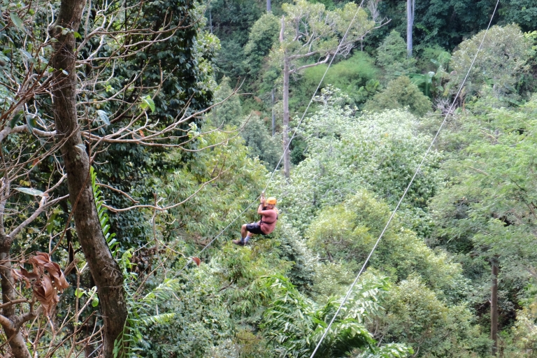Phuket: wycieczka tyrolką po dżungli z opcjonalnym quademLinia Az2 Zip 10 stacji i ATV 30 minut