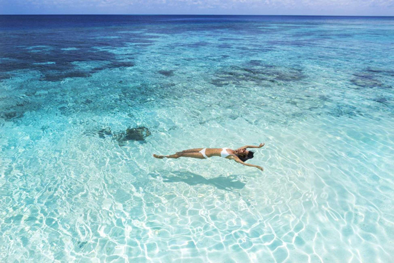 Full Day Safari Blue Sea Adventure in Zanzibar with Lunch Shared tour with Private Hotel pick up & drop off included