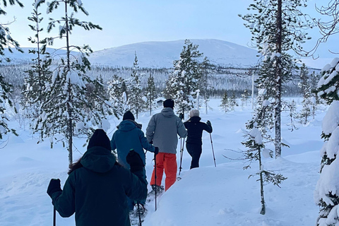 Levi: Reindeer Farm Visit and Snowshoe Adventure with Lunch