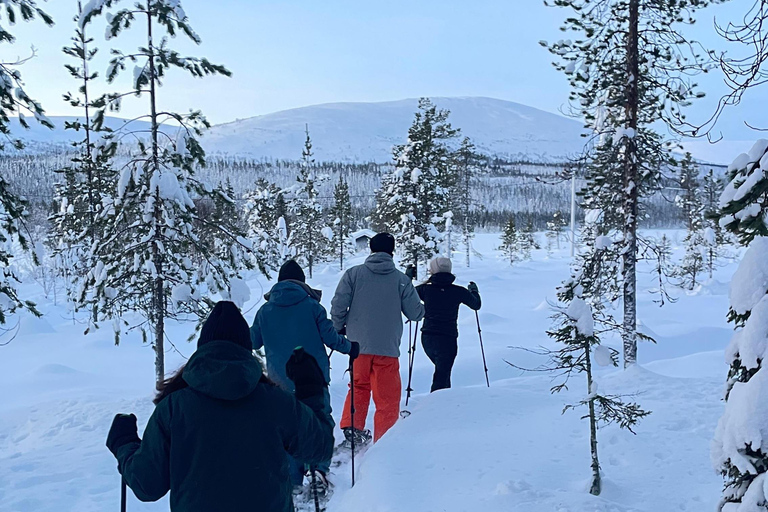 Levi: Reindeer Farm Visit and Snowshoe Adventure with Lunch