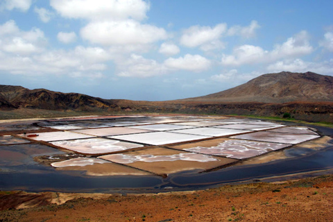 Salt Pans & Lemon Sharks Experience