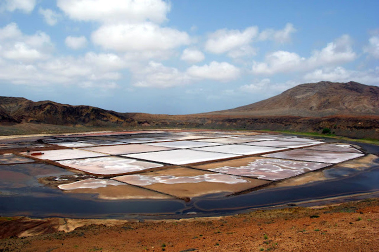 Salt Pans & Lemon Sharks Experience