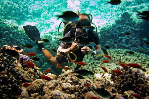 Sharm El Sheikh: Dagsutflykt med dykning med båt vid Ras Mohamed