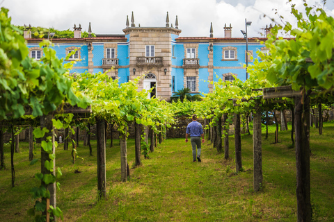 Granbazán Winery: Guided Tour and Wine Tasting Bodegas Granbazán: Visita Guiada y Cata de Vinos (Español)