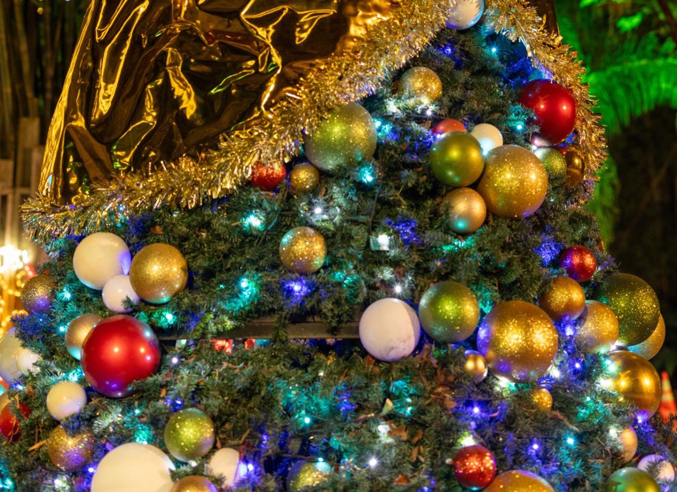 Tampa: ZooTampa i Lowry Park – billet med feriemulighed