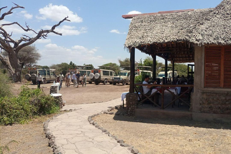 Nairobi: Amboseli National Park Day Trip with Lunch Luxury Landcruiser Option