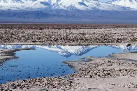 CEJAR LAGOON, SALT FLAT EYES AND TEBINQUINCHE LAGOON