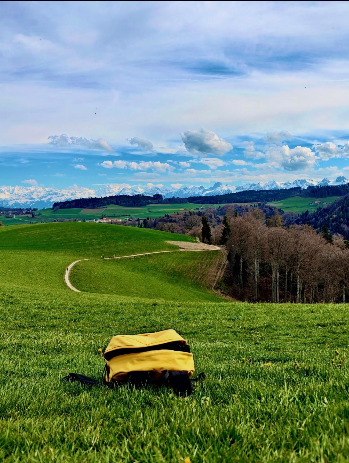 Bern, GurtenPark: 360-Grad-Aussichtspunkt, Rutsche und Käsepicknick.