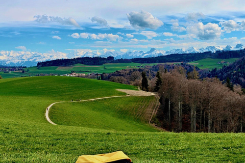 GurtenPark–Bern: 360° Viewpoint, Toboggan Run, and Cheese Picnic Gurten Park – Bern: Small Group Tour
