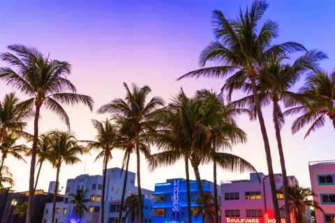 Miami: City Bus Tour-Discover the City's Hidden Treasures