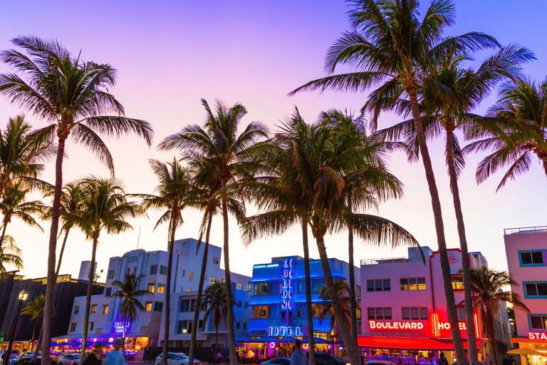 Miami - en busstur Stadsvandring med buss - Upptäck stadens dolda skatter