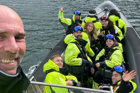 Flåm: Nærøyfjord RIB-boat Experience & Waterfalls