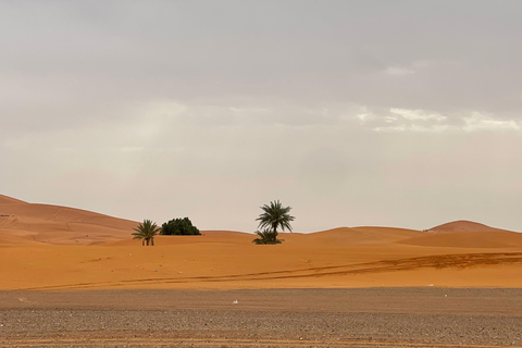 From Marrakech: 3-Day Desert Tour to Merzouga & Luxury Camp. From Marrakech: Premium 3-Day Tour & Luxury Camp.