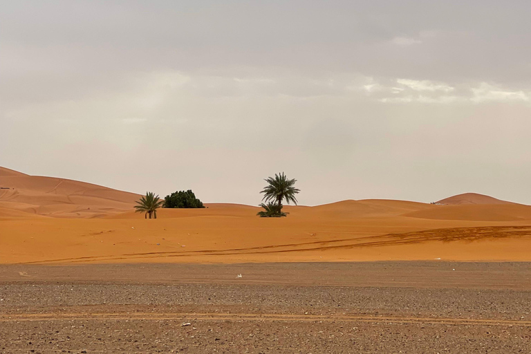 From Marrakech: 3-Day Desert Tour to Merzouga & Luxury Camp. From Marrakech: Premium 3-Day Tour & Luxury Camp.