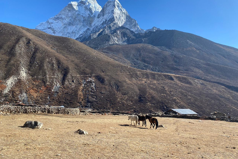 Trek rapide du camp de base de l'Everest - 9 jours