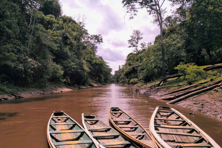 From Iquitos: Sail on the Amazon River |Full Day|