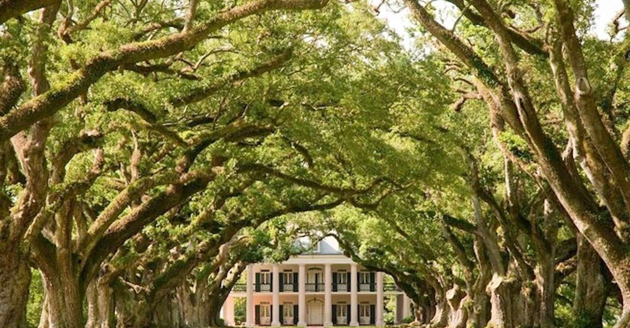 New Orleans, Oak Alley or Laura Plantation & Airboat Tour - Housity