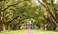 New Orleans, Oak Alley o Laura Plantation e Airboat Tour - Housity