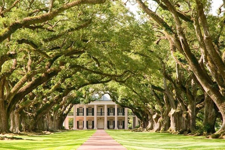 Nova Orleans: Oak Alley ou Laura Plantation e passeio de aerobarco