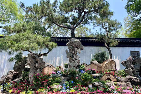 Suzhou & Tongli Water Town One Day Escape from Shanghai