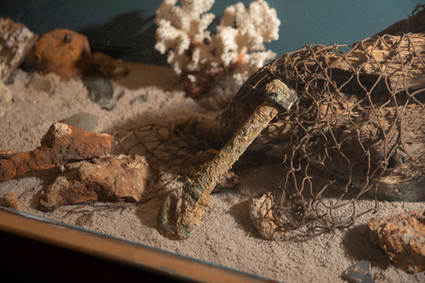 Savannah: Pirates and Treasure Museum Entry Ticket