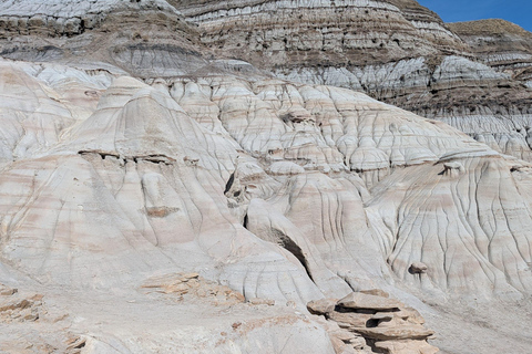 Day of Dinosaurs and Hoodoos From Calgary to Drumheller