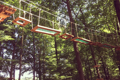 Kletterwald Sögel High Ropes Park Entry Ticket 3 Hours - Kletterwald Sögel High Ropes Park Entry Ticket