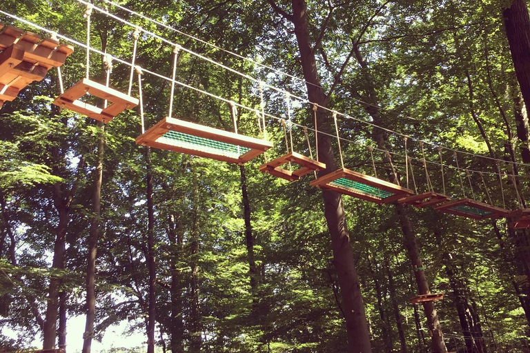 Kletterwald Sögel High Ropes Park Entry Ticket 3 Hours - Kletterwald Sögel High Ropes Park Entry Ticket