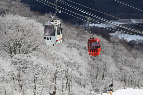 Nagoya: Takasu Snow Park Ski & Snowboard Day Trip Nagoya : Include bus fare & admission to "YUKINOS"