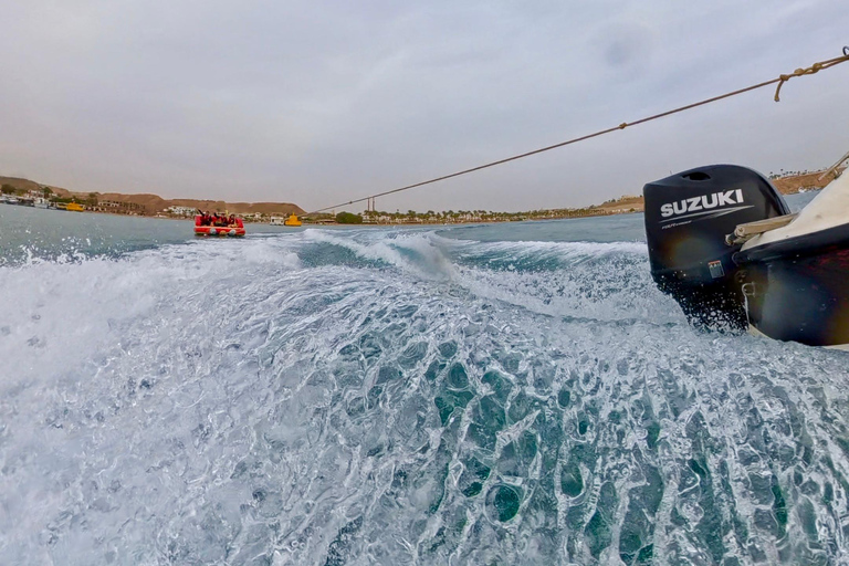 Sharm El Sheikh: Parasailing and Water Ride Combo Double Parasailing (Total 150kg) + 1 Water Ride