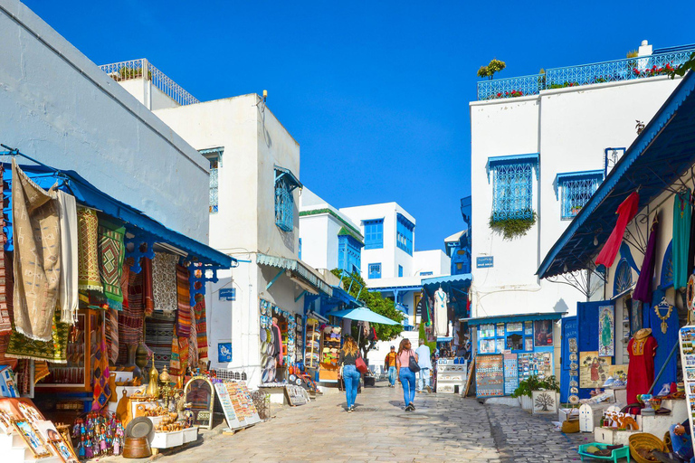 Carthage & Sidi Bou Said Tour from Mahdia From Mahdia: Carthage & Sidi Bou Said Guided Tour